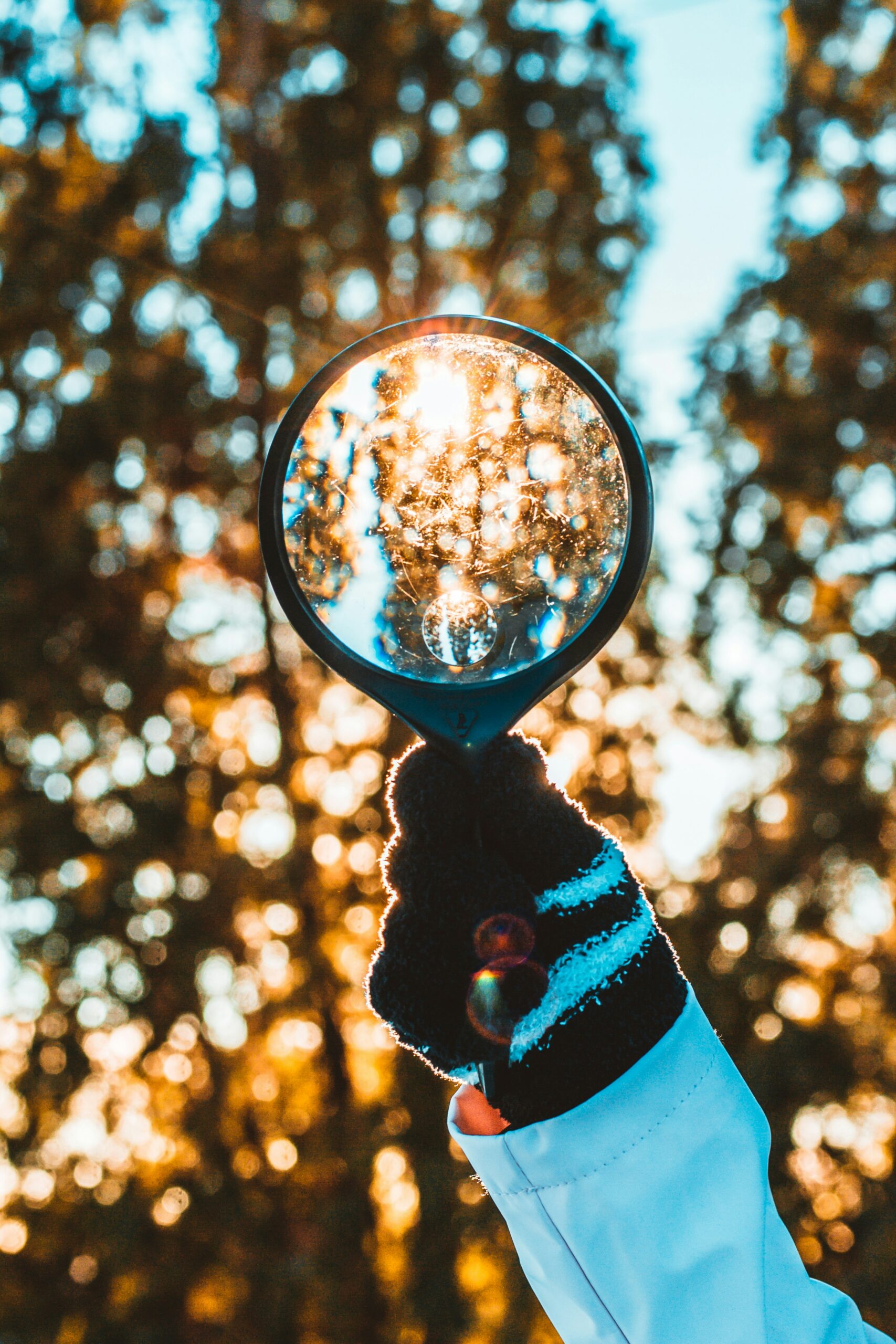 A gloved hand holds a magnifying glass in the foreground with sunlight and tress in the background